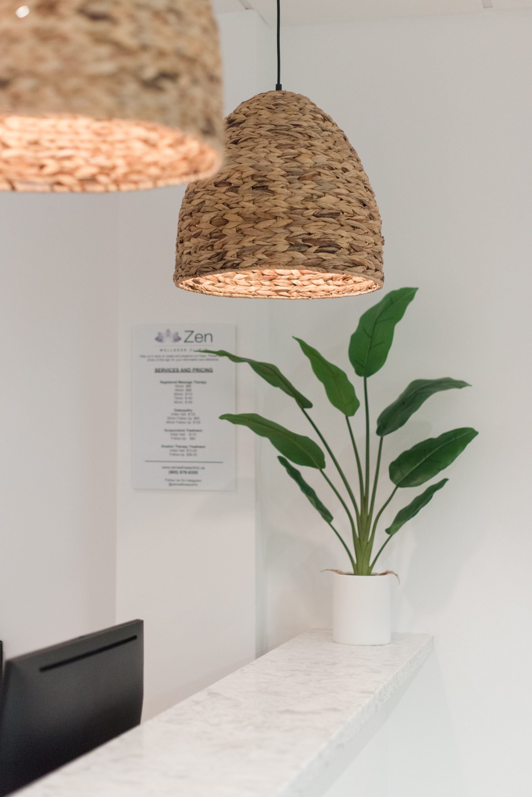 Zen Wellness Clinic home page indoor plant at front desk
